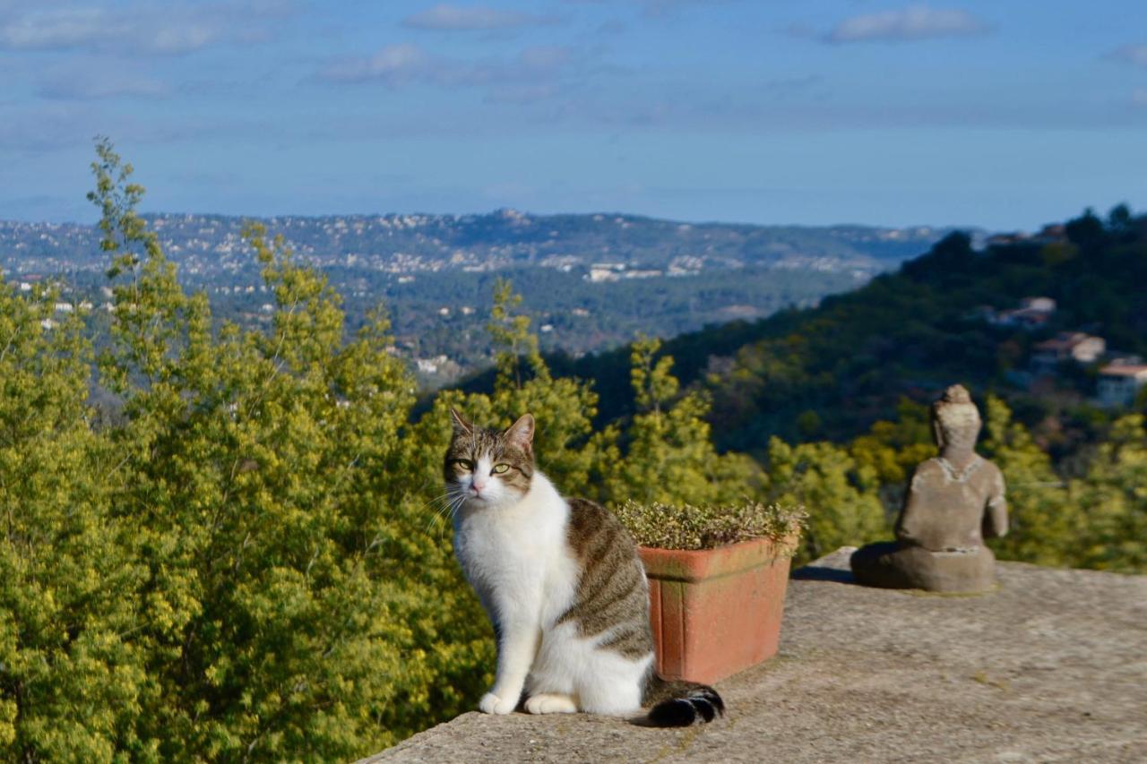 Amoureux Du Calme Et De La Nature Tanneron Exterior foto